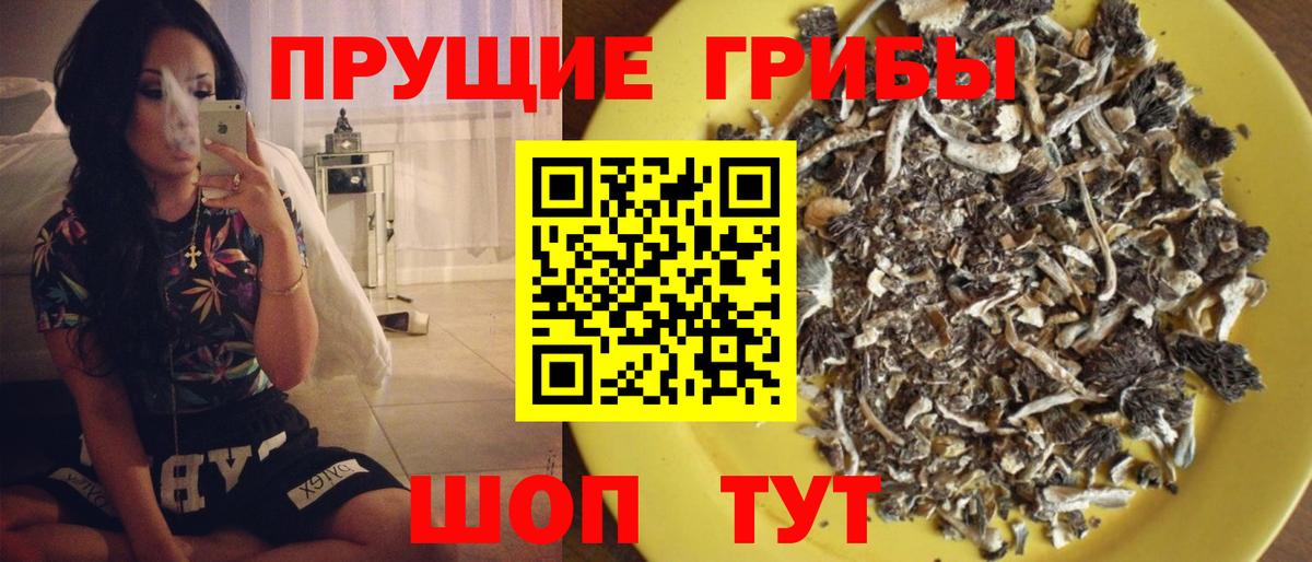 Псилоцибиновые грибы ЛСД Ступино